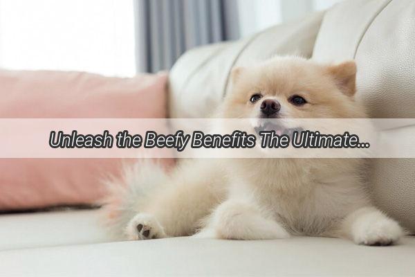 Unleash the Beefy Benefits The Ultimate Guide to Feeding Beef to Your Pooch